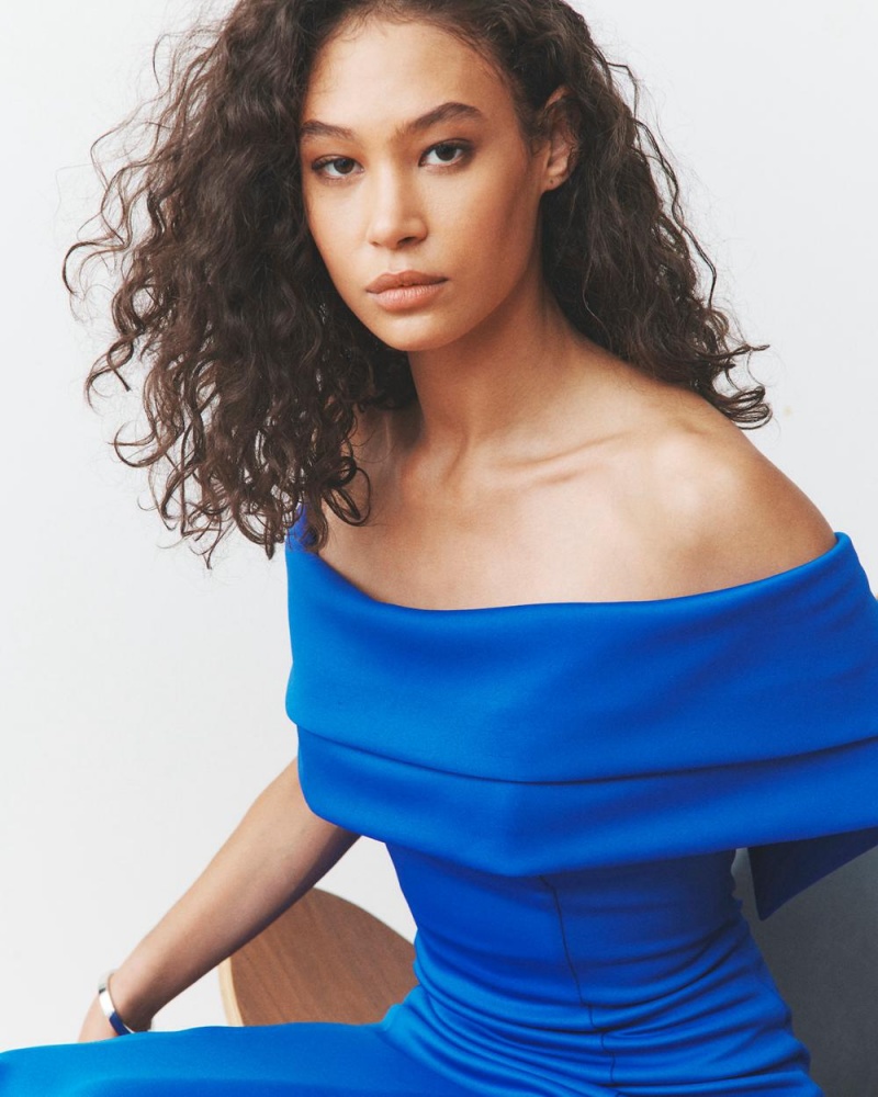 Vince Camuto Off-The-Shoulder Gown Maxi Šaty Damske Modre | RDWE-42376